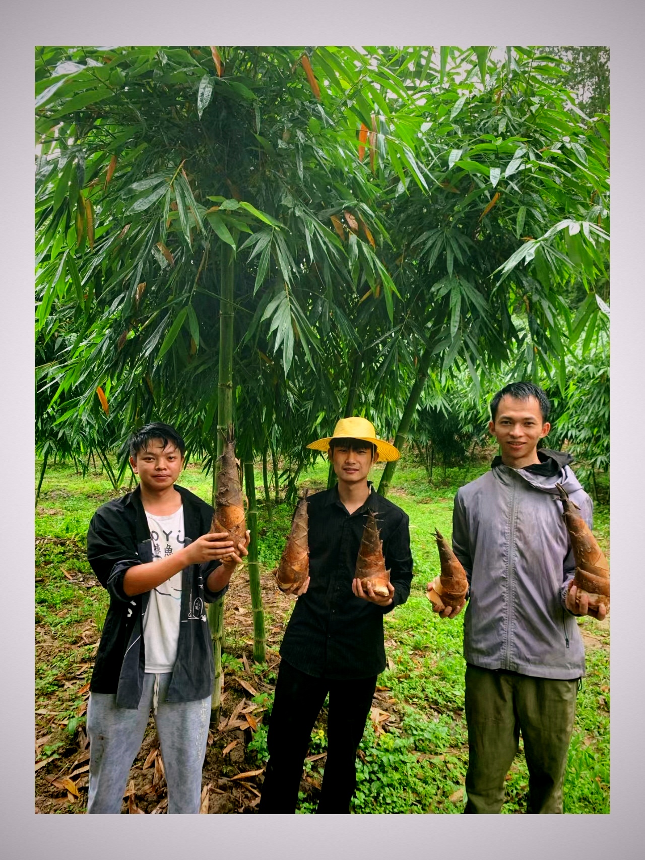 探索实战教学，践行以赛促教 | 网络营销与直播电商学子开展直播助农活动